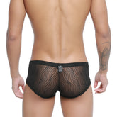 MetroMaleWear Bruma Trunk 2125-30 black sheer mesh briefs with wavy pattern and solid black waistband