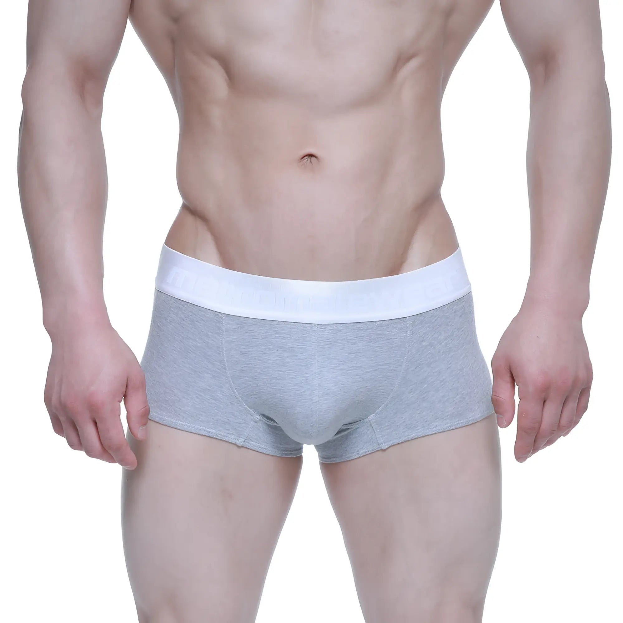 MetroMaleWear elemental boxer brief gray 2029-10 gray heathered briefs with white elastic waistband for comfort