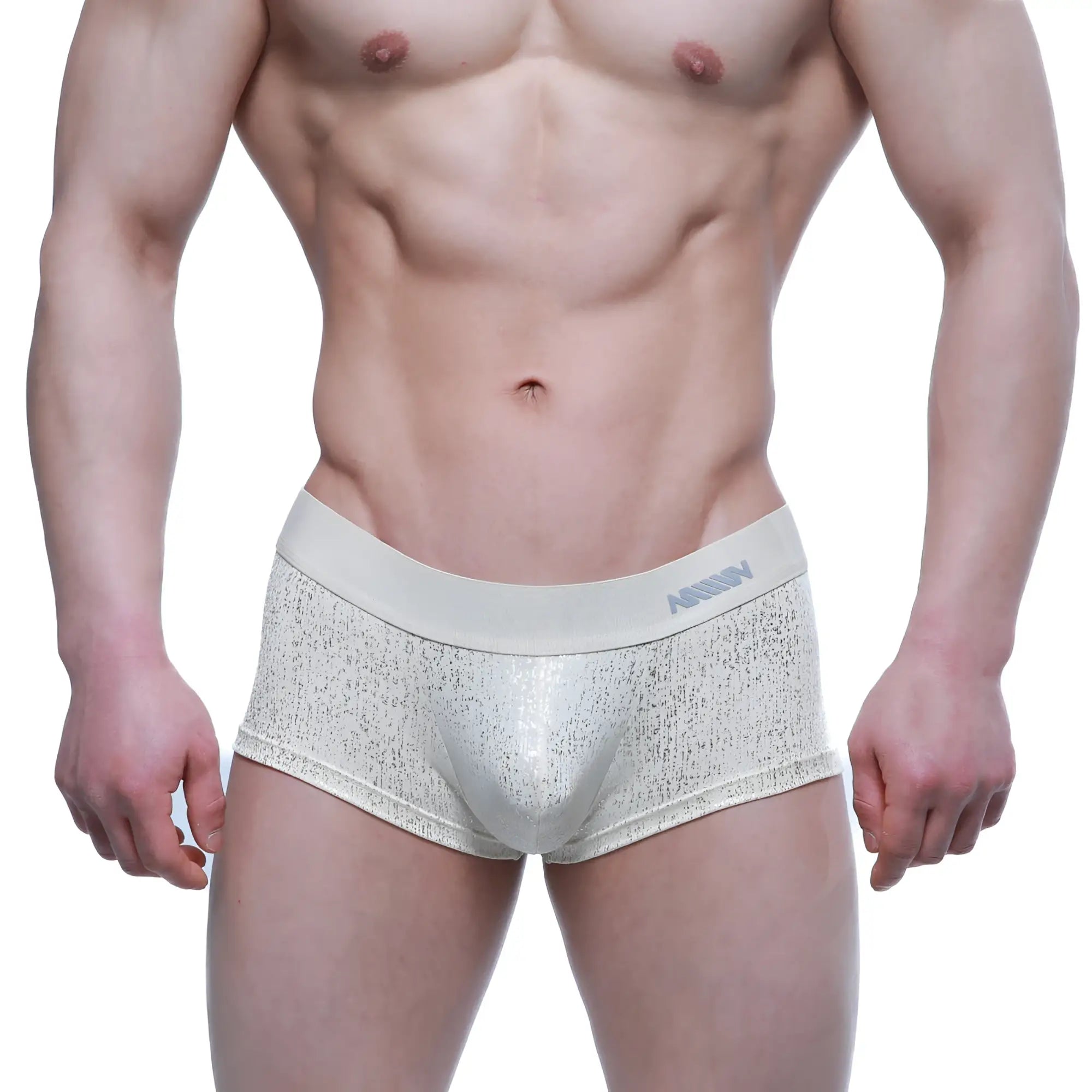 Silver metallic textured briefs with subtle shimmer and MetroMaleWear branded waistband Gloria Short Boxer 2026-57