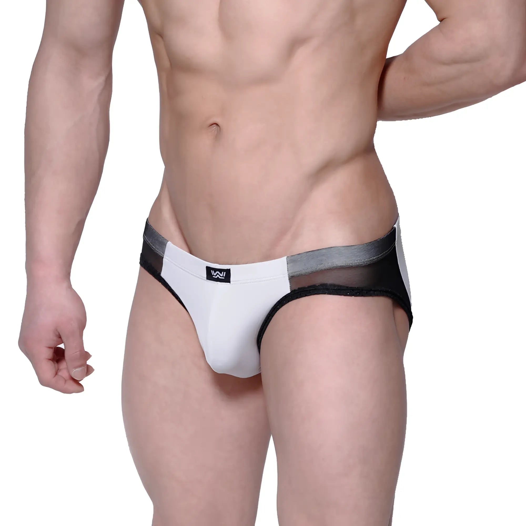 Metro male wear lobo hip brief gray 5303-10 white and black mesh trimmed sleek modern design briefs front view