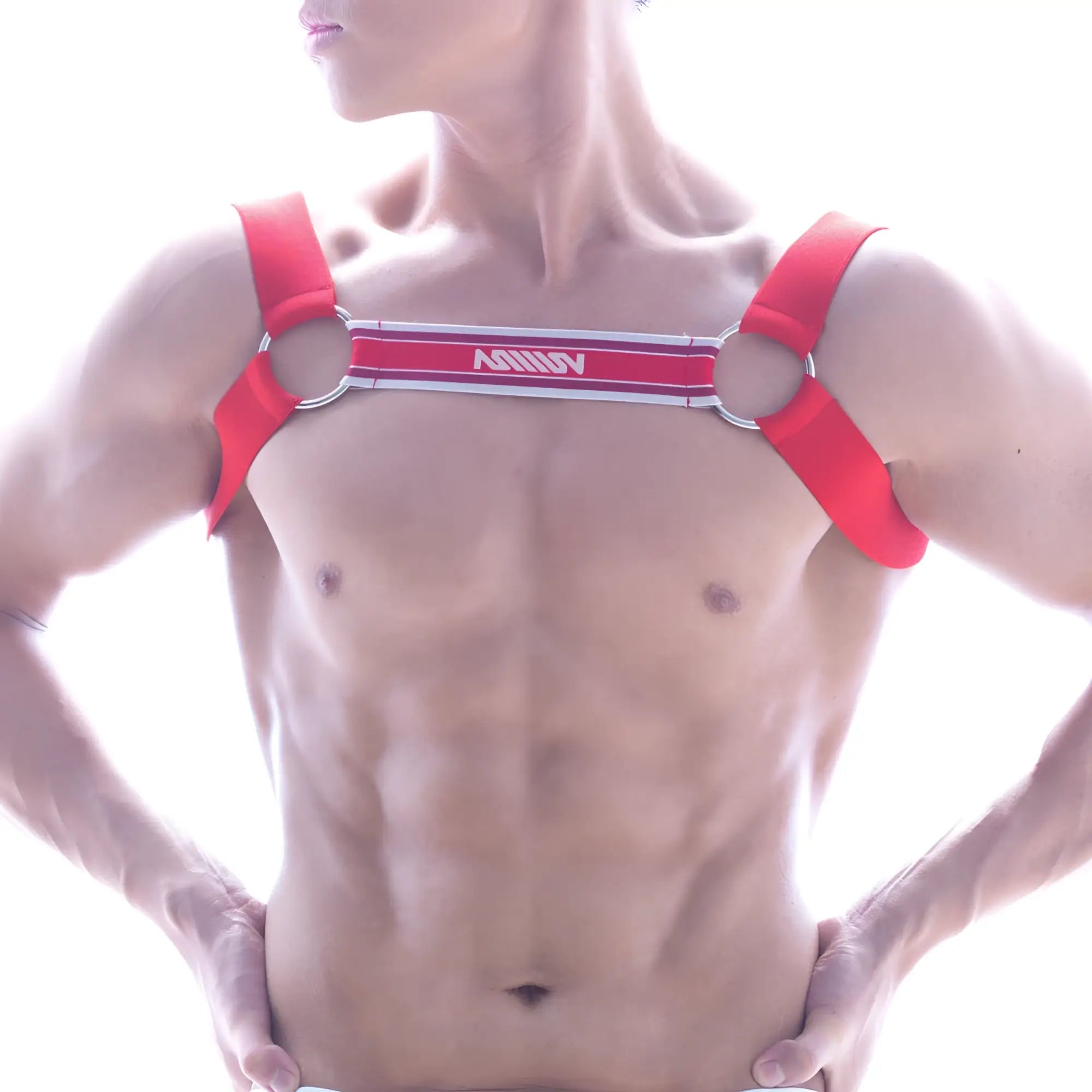 Red ashley brand red harness with silver metal rings and white logo strip metroMalewear logo harness red 1200-12