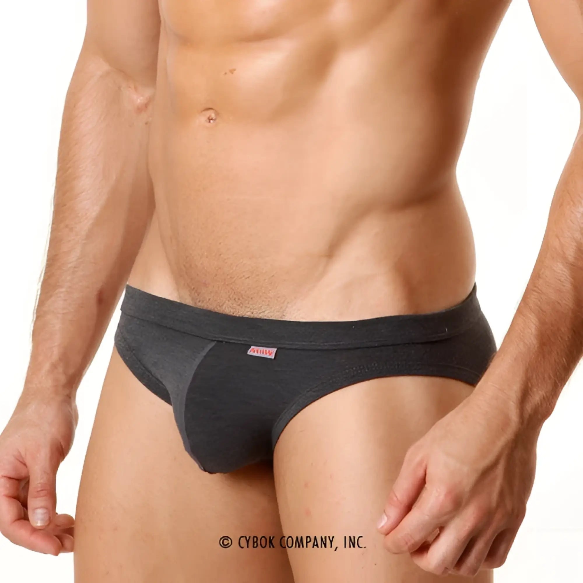 MetroMaleWear modern brief heather 4003-10 dark gray form-fitting briefs with subtle textured fabric and pink logo waistband