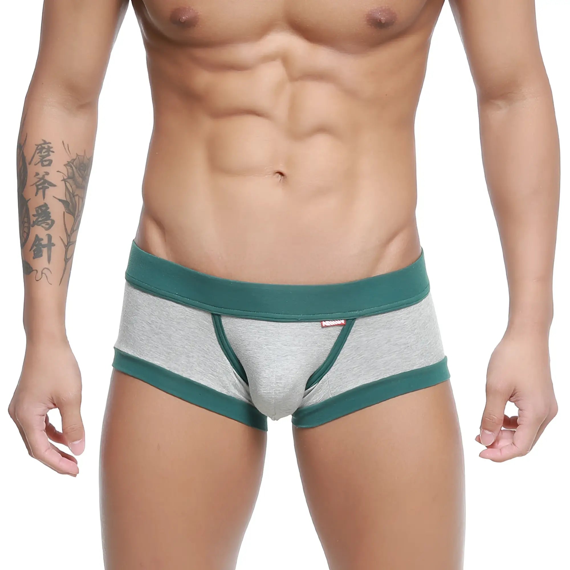 Gray heathered men’s briefs with contrasting teal elastic waistband and leg openings from metromalewear nano trunk gray 7016-10