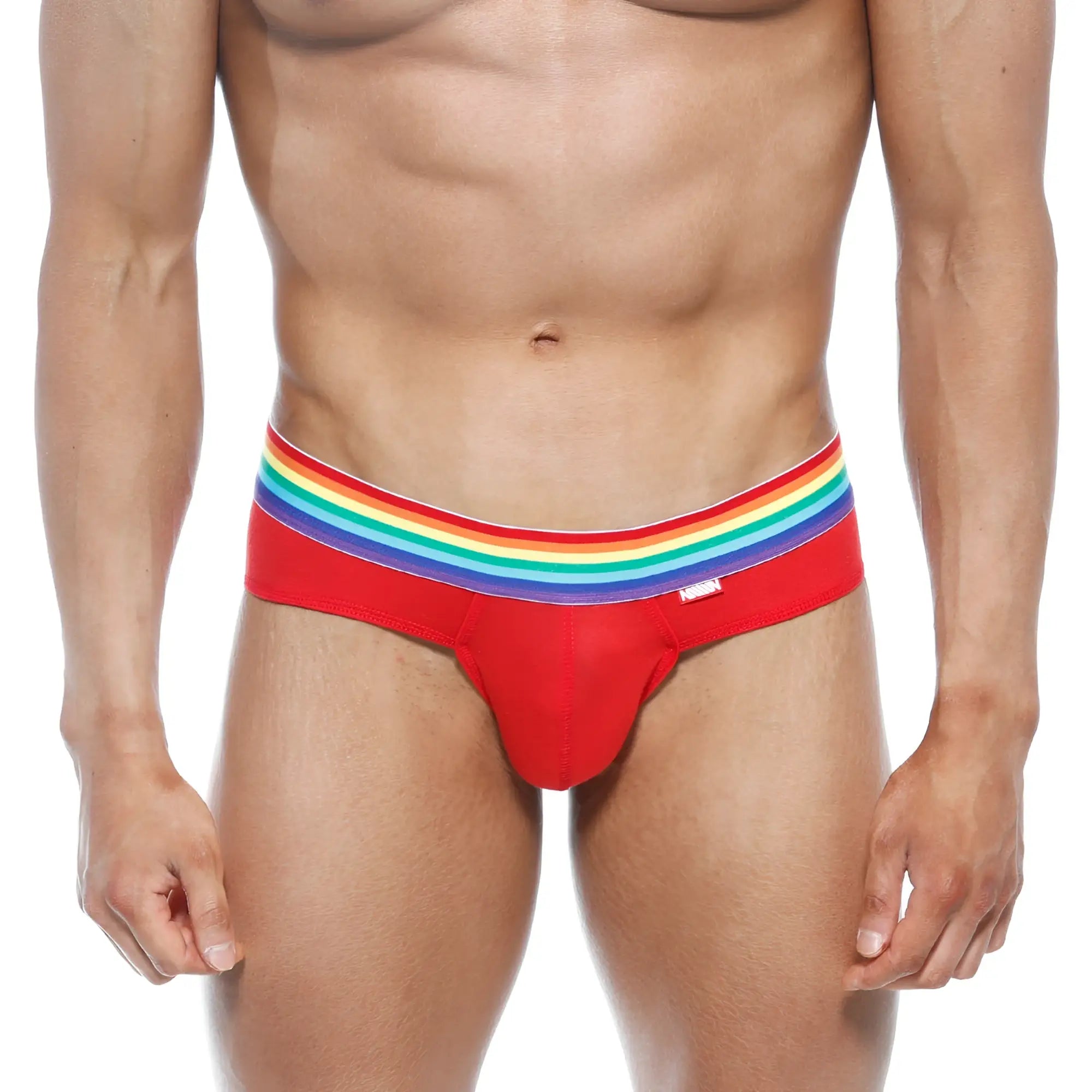 Red briefs with a rainbow-striped waistband from metromalewear pride brief red 5006-r12 collection