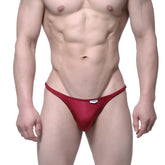 Red metallic-textured thong with white brand tag by MetroMaleWear romantic bikini burgundy 6008-29