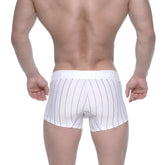 White boxer briefs with thin black vertical stripes and matching elastic waistband by metromalewear model 2022-72