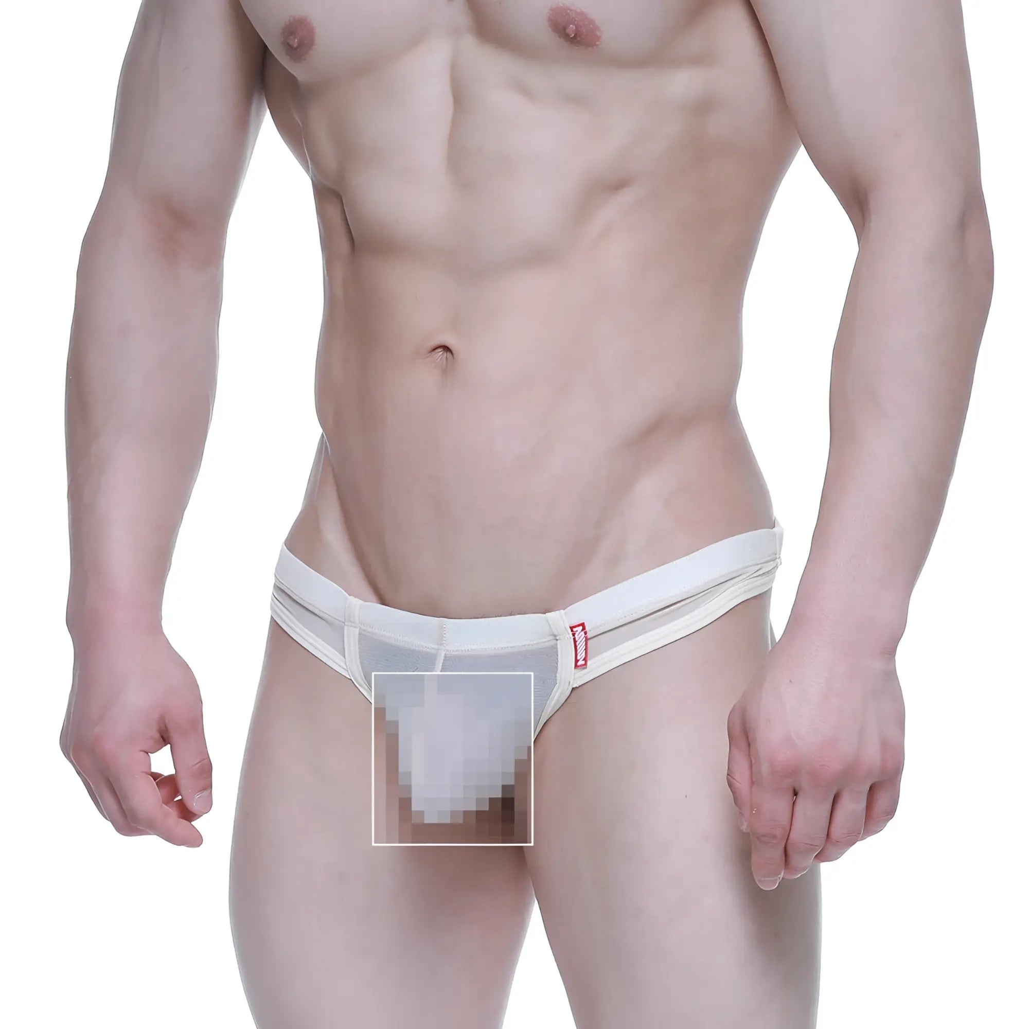 White sheer mesh briefs with a red brand tag on the waistband metroMaleWear super lowrise thong nude 6109-02