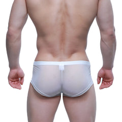 MetroMaleWear tull blanco trunk 2125-68 white sheer mesh briefs with solid white waistband front view