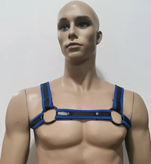 Blue and black leather neoprene bulldog harness with circular metal rings for secure dog walking