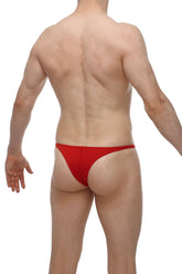 Red thong briefs petitq bikini plellis in vibrant red designed for comfortable stylish everyday wear