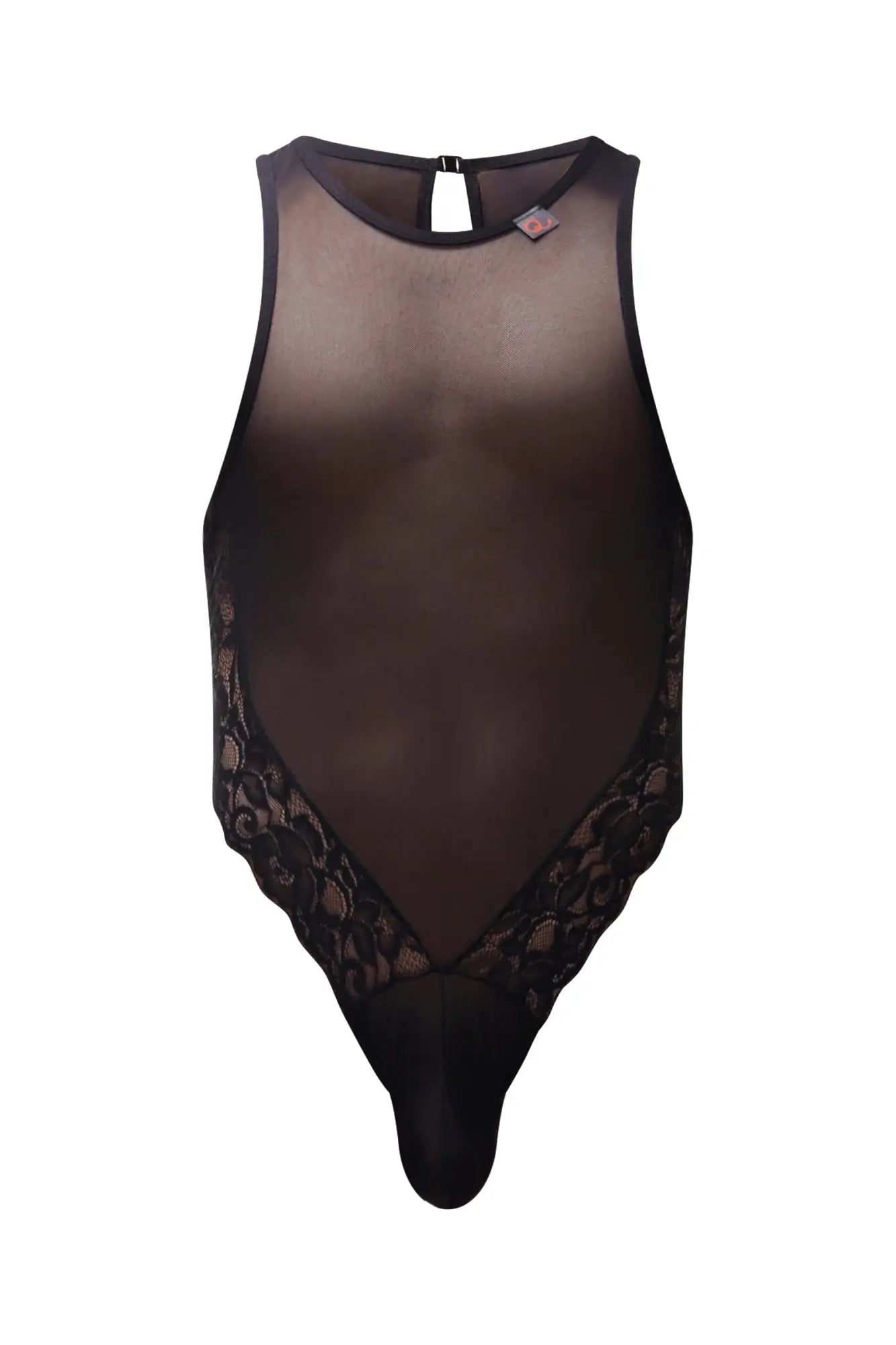 PetitQ bodysuit Murol black sheer mesh with intricate lace trim along sides shown from the back with clasp closure