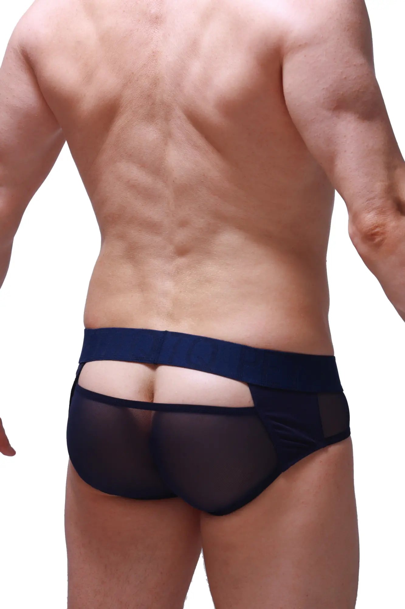 Navy blue sheer mesh briefs petitq brief dugny navy with solid waistband soft breathable material