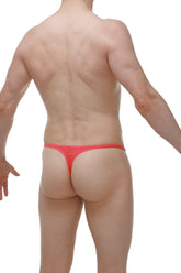 Bright red PetitQ thong cernier plum crimson made of smooth stretchy fabric in a form-fitting design