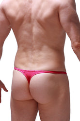 Tanga Plellis Joe Framboise