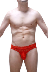 Thong Plessis plum red red lace thong with sheer patterned waistband and solid red pouch front view