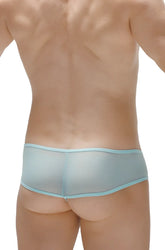 Light blue sheer mesh briefs with matching elastic waistband thong toga net teal style
