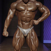 Shiny silver mesh briefs with a textured scale-like pattern from metromalewear white snake posing suit collection
