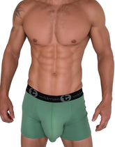 Green wildman cotton boxer briefs with 5 inch inseam and black elastic waistband featuring wildman logo
