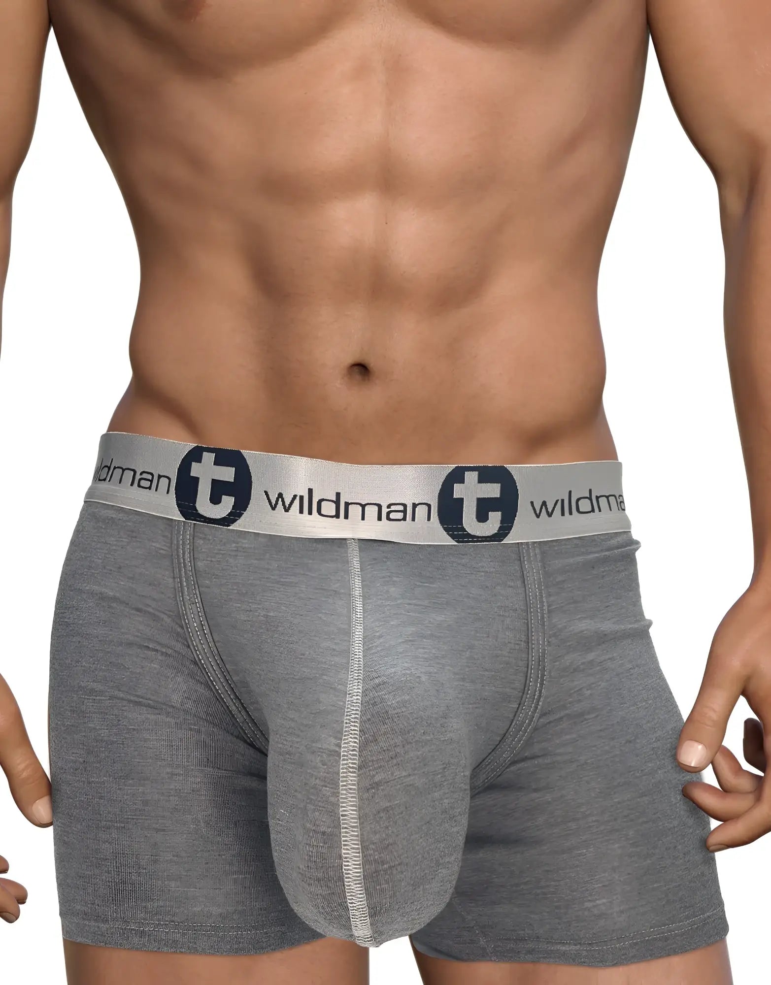 Gray heathered modal boxer briefs with a silver waistband featuring wildman logo and circular t emblem