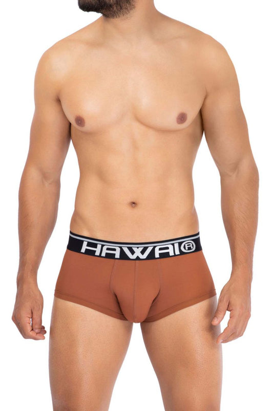 HAWAI 42181 Solid Microfiber Briefs Color Amber: A Comfortable and Stylish Choice