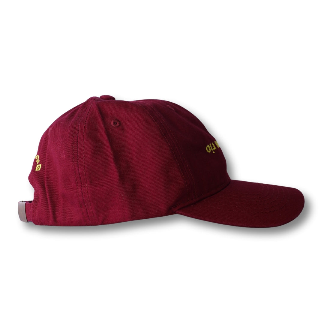 CA-RIO-CA boy from rio - flip -  Dad Hat