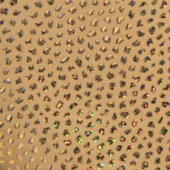Gold stones trunk featuring gold-toned fabric with iridescent rhinestones in a leopard print pattern