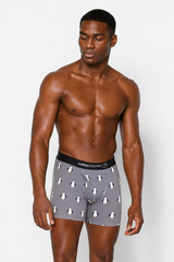 Curious Beaver Men's Boxer Briefs - Penguins