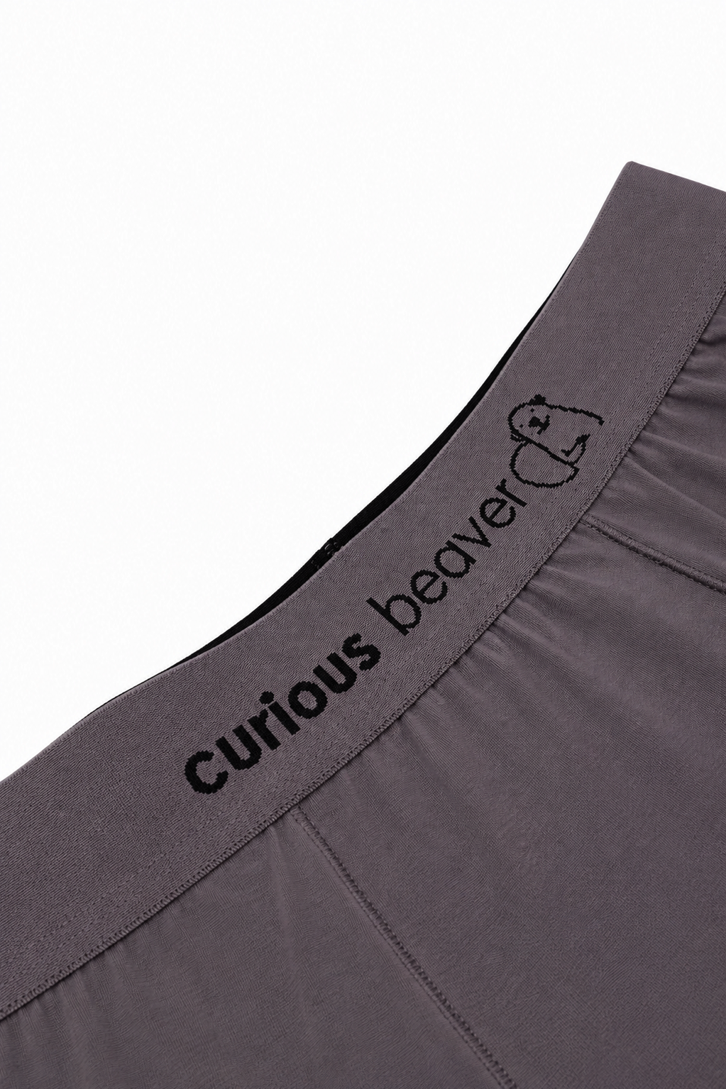 Curious Beaver Men's Soft Modal Boxer Briefs - Storm Gray