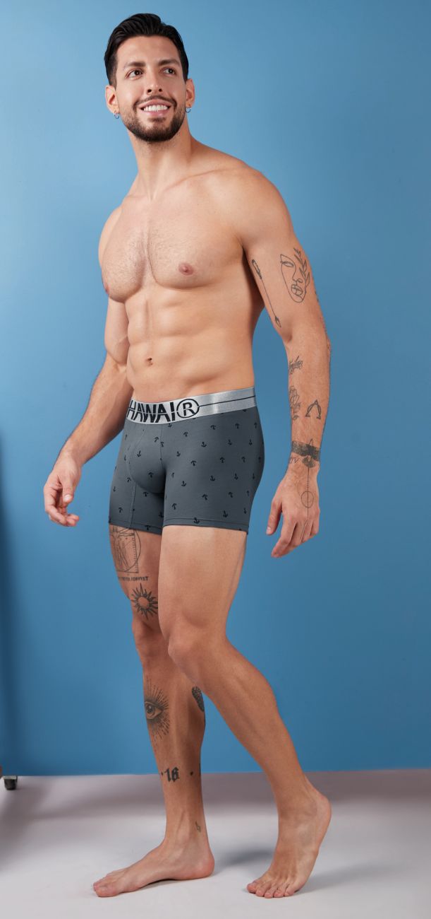 Gray cotton blend boxer briefs with subtle pattern and silver waistband featuring hanna logo for comfortable wear