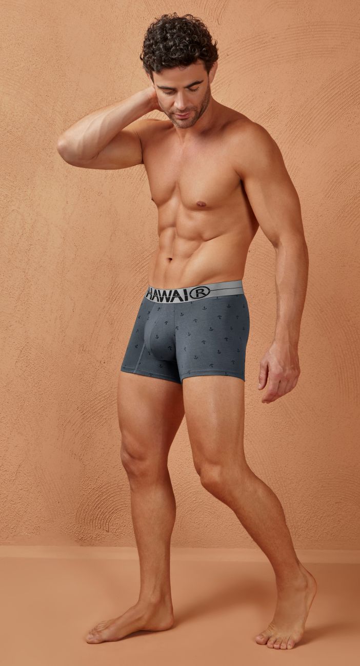 Blue patterned cotton blend boxer briefs with gray hawaii waistband in hawai 42521 trunks color gray