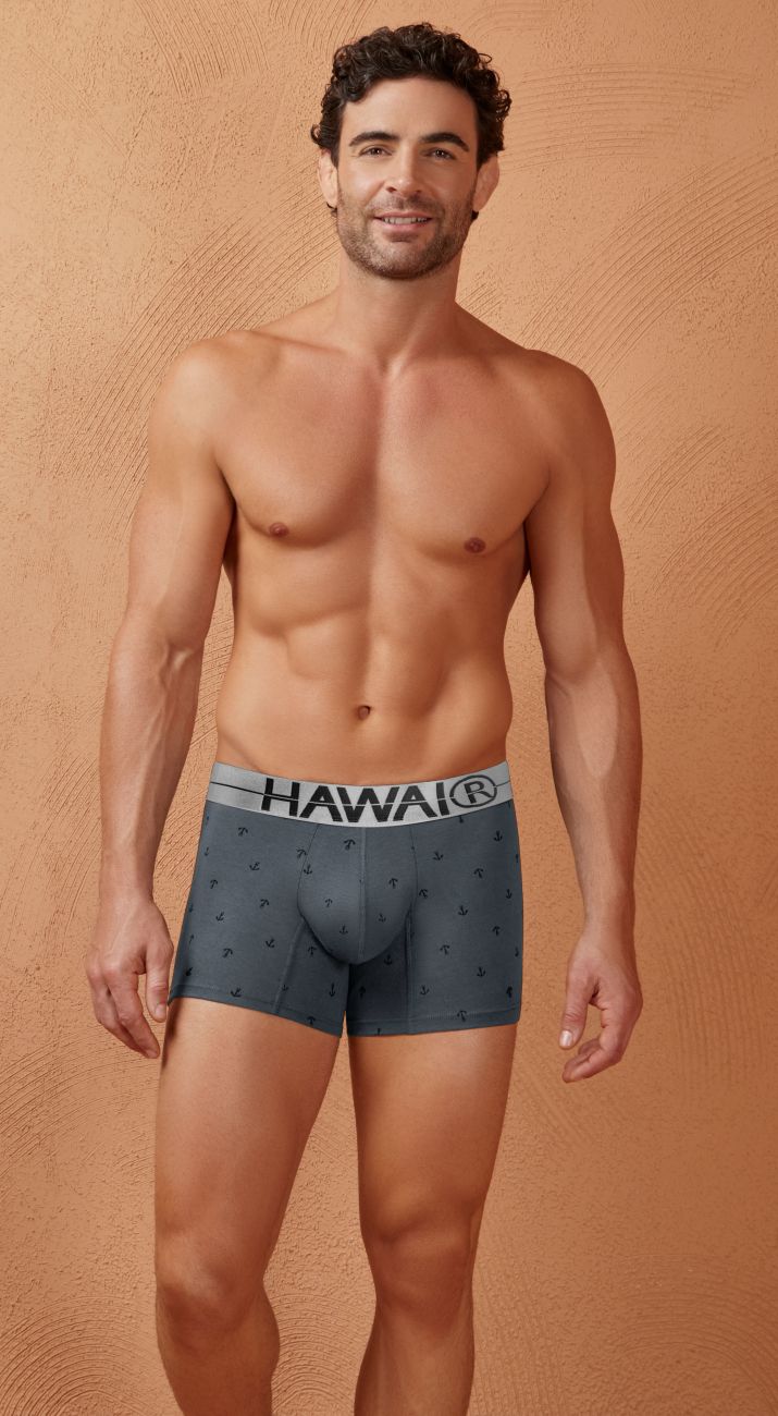 HAWAI 42521 Short de bain en mélange de coton, couleur grise