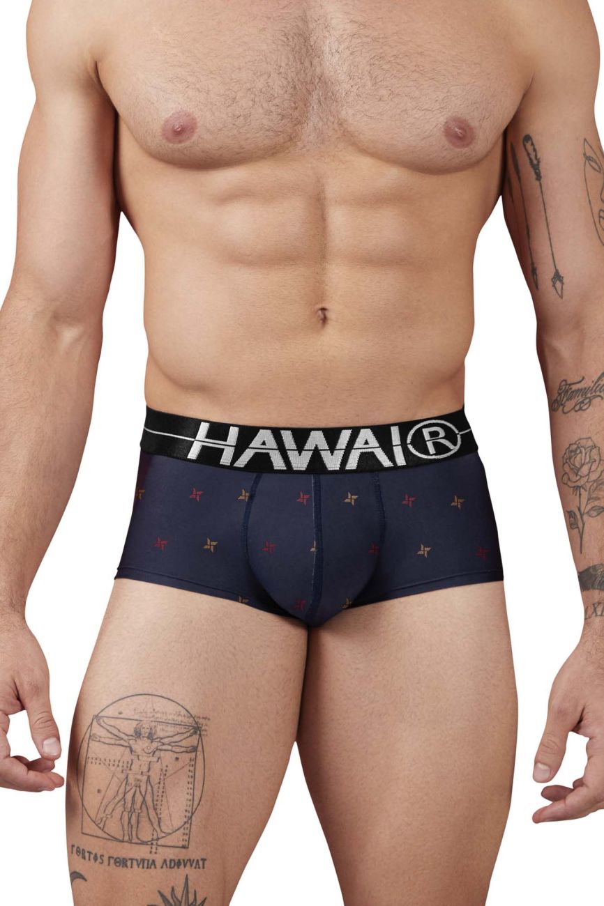 HAWAIR 42530 Printed Microfiber Briefs Color Blue