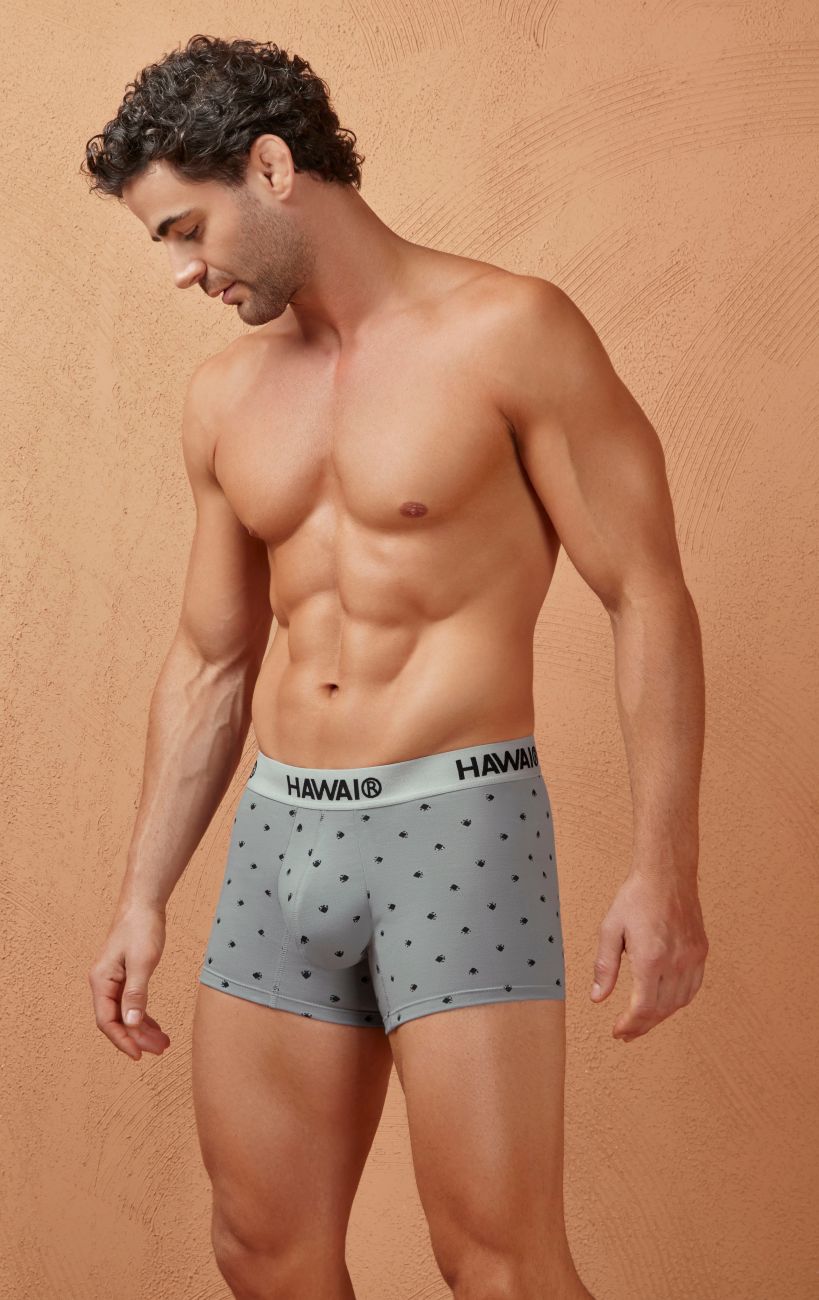 HAWAI 42571 Short de bain en mélange de coton, couleur grise