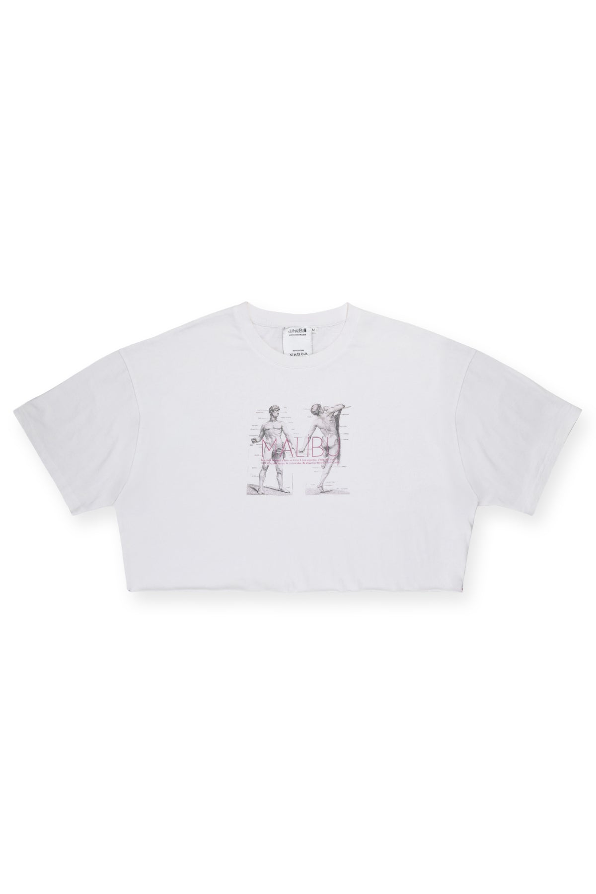 JJ Malibu Herren Vintage-Washed Crop-T-Shirt mit überschnittenen Schultern – Anatomy