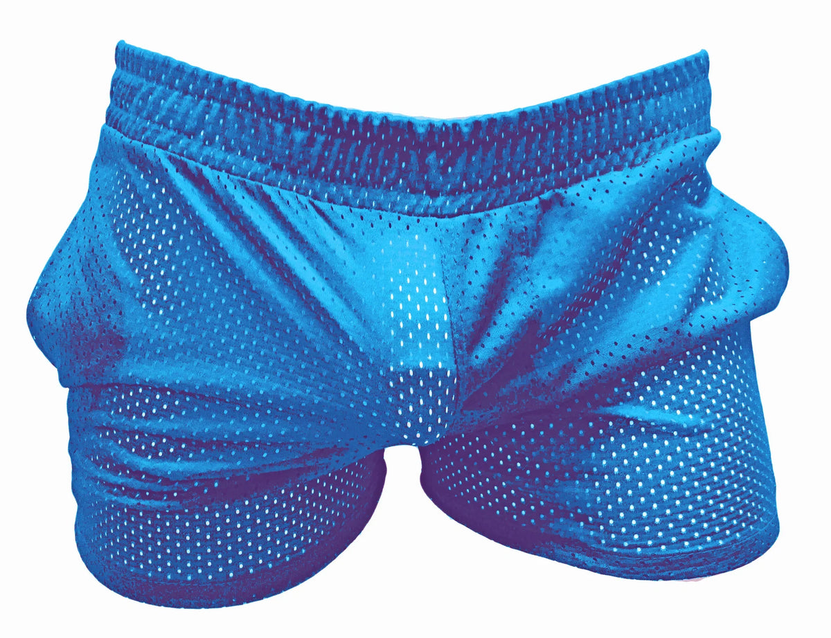 Sport-Mesh-Shorts