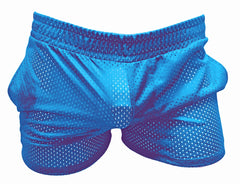 Sport-Mesh-Shorts