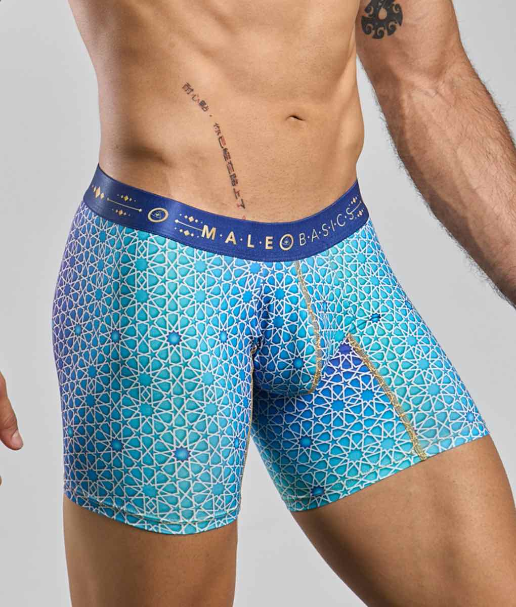 Blue patterned men’s boxer briefs with geometric design and white lines by male basics hipster waistband visible