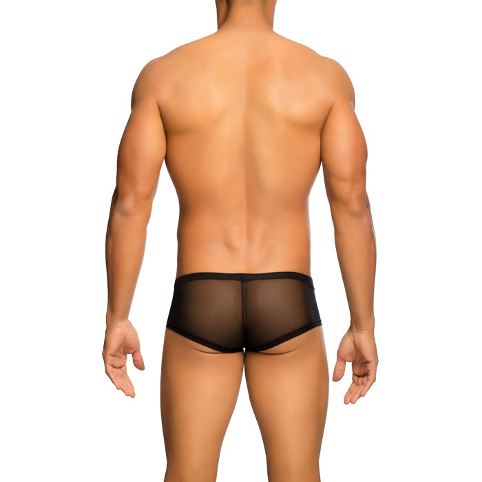 Mob Men's Sexy Sheer Hip Brief