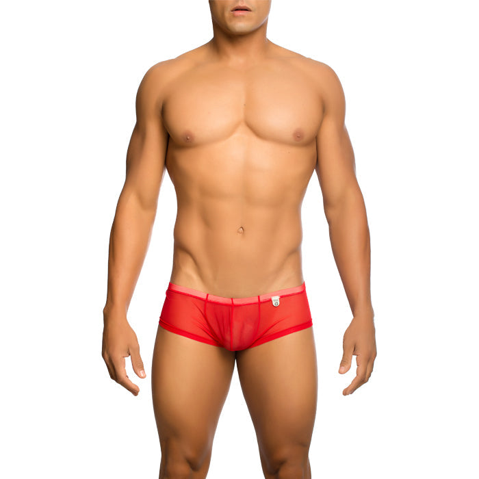 Mob Men's Sexy Sheer Hip Brief