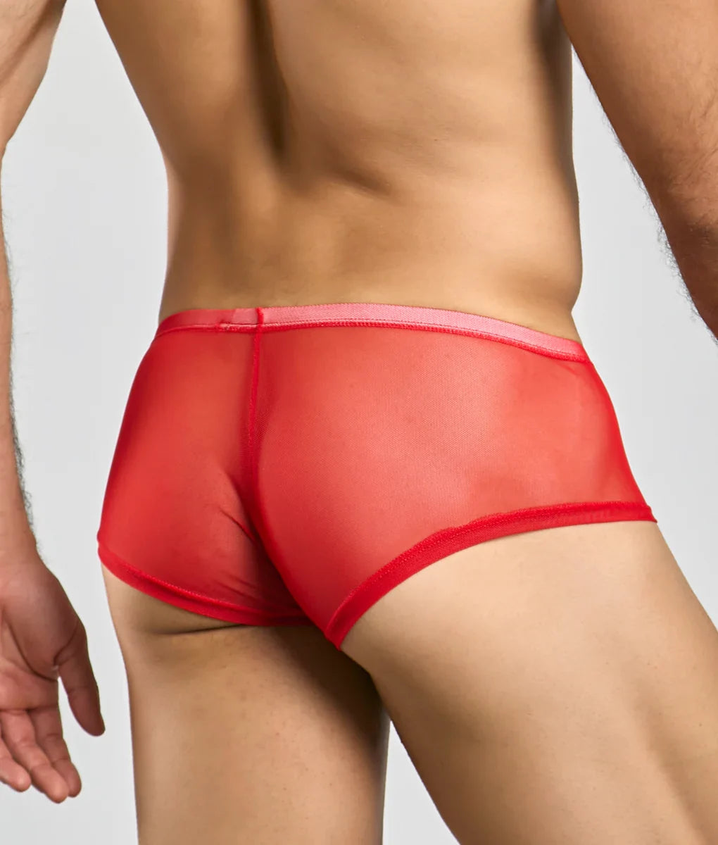 Mob men’s sexy sheer hip brief in red sheer mesh with a pink waistband showing front view