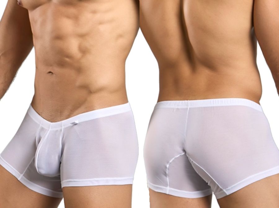 Malebasics mbl78 lace trunks in white sheer mesh with solid white waistband and trim men’s briefs front view