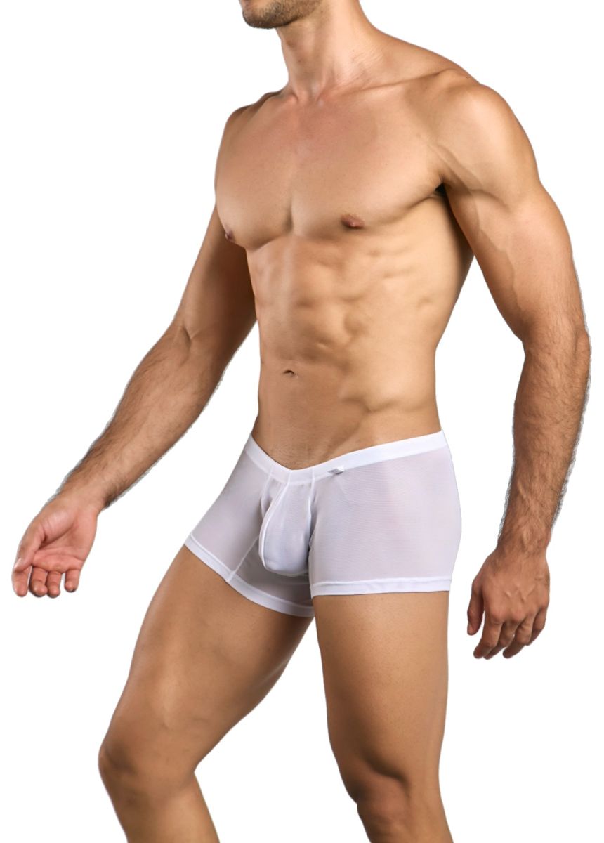 Malebasics mbl78 lace trunks white mesh briefs with sheer fabric and solid white waistband for men