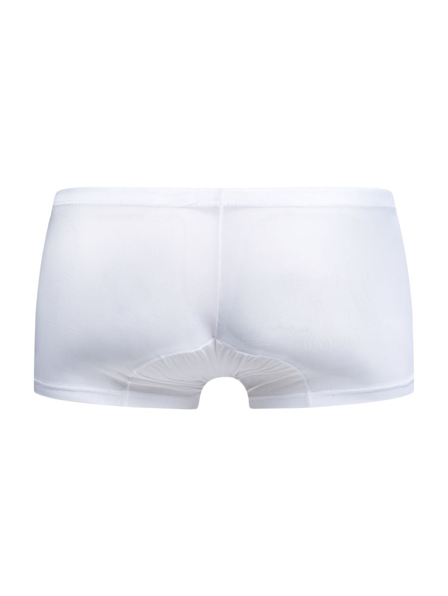 Malebasics mbl78 lace trunks white mesh briefs with sheer fabric and smooth elastic waistband front view