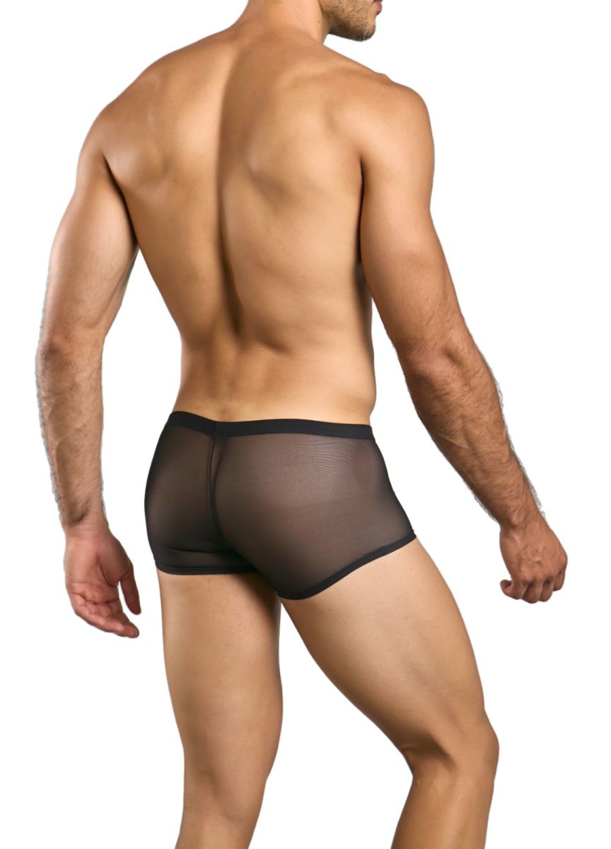 Black sheer mesh briefs with a solid black waistband from malebasics mbl84 classic pouch trunks collection