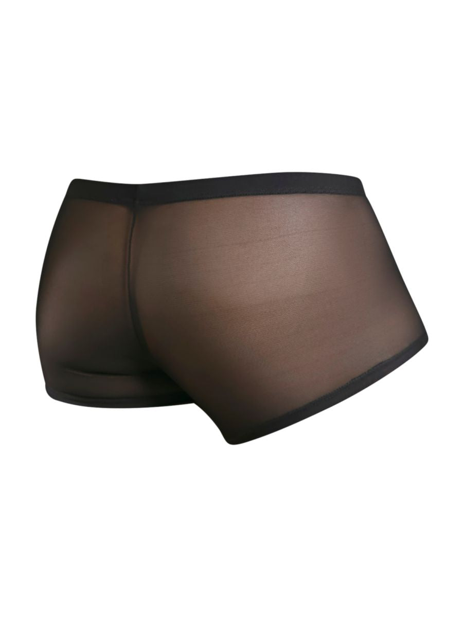 Malebasics mbl84 classic pouch trunks in black sheer mesh with solid black waistband front view