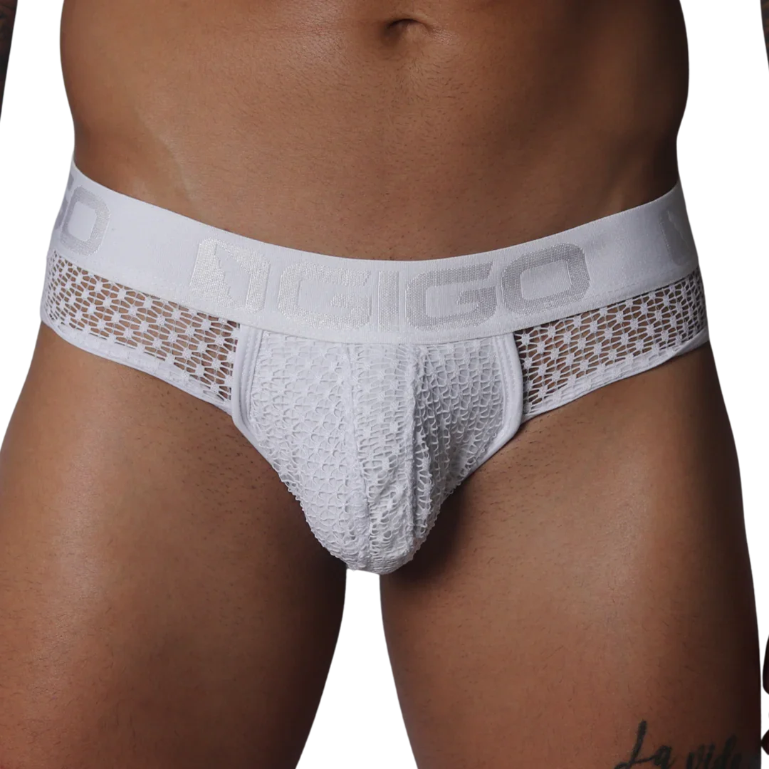 White brief with sheer, open-weave lace fabric and a branded elastic waistband.