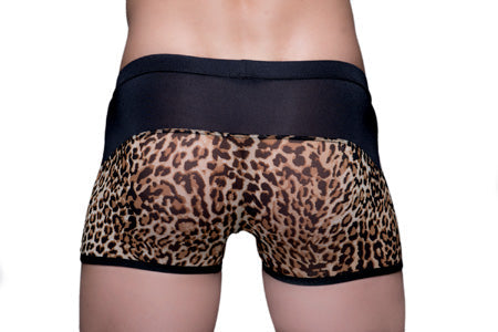 Tartarus Peakaboo Trunk