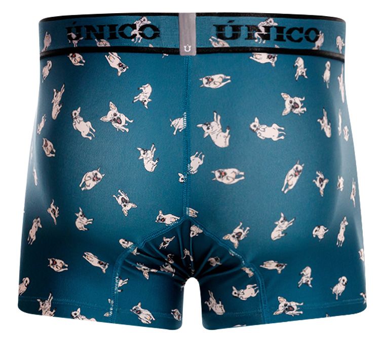 Unico 25060100104 Boxer Chihuahua Couleur 43-Bleu