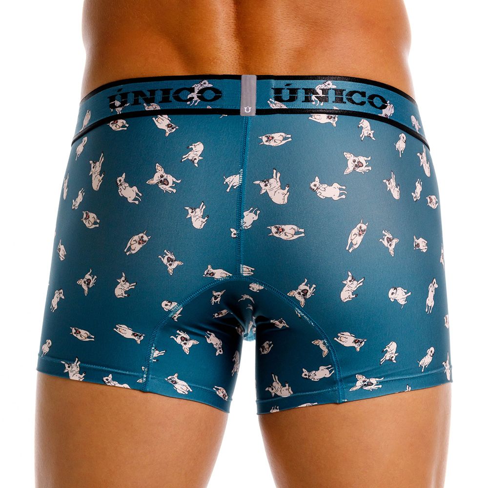 Unico 25060100104 Boxer Chihuahua Couleur 43-Bleu