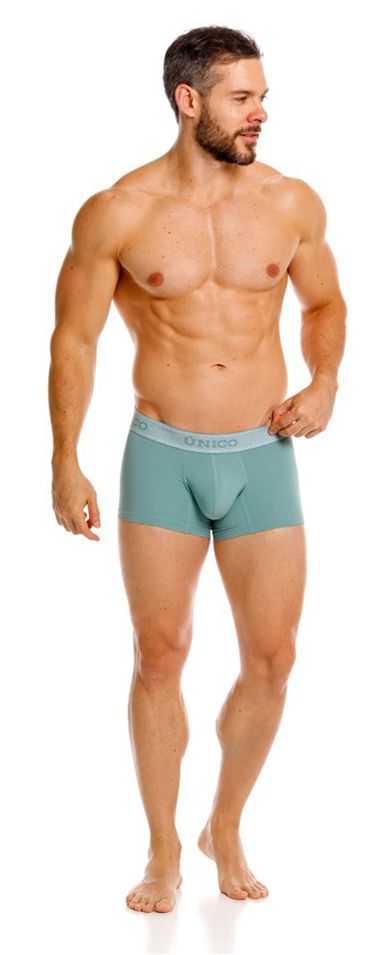 Teal mens briefs with light gray unidos waistband ceramic trunks color 43 green model 26040100121